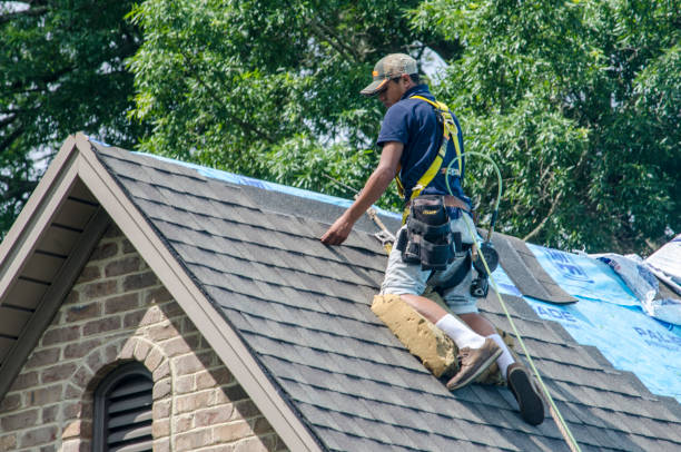 Trusted Ahoskie, NC Roofing Contractor Experts